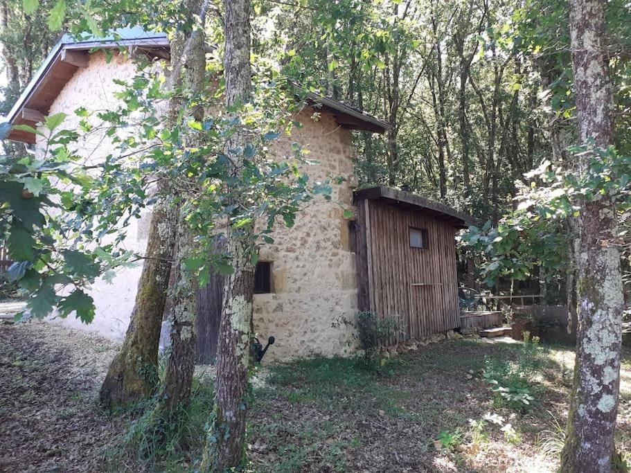 Le Gite De La Cabane De L'Oiseau Couze-et-Saint-Front Exteriér fotografie