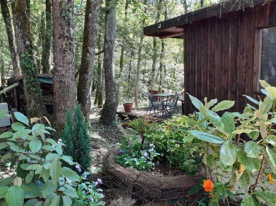 Le Gite De La Cabane De L'Oiseau Couze-et-Saint-Front Exteriér fotografie