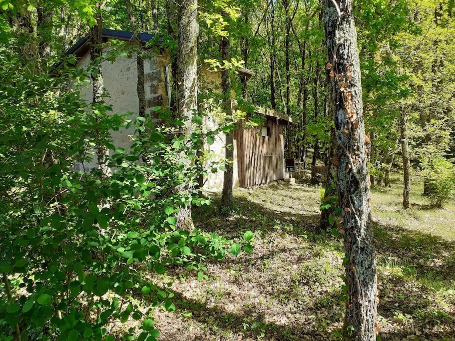 Le Gite De La Cabane De L'Oiseau Couze-et-Saint-Front Exteriér fotografie